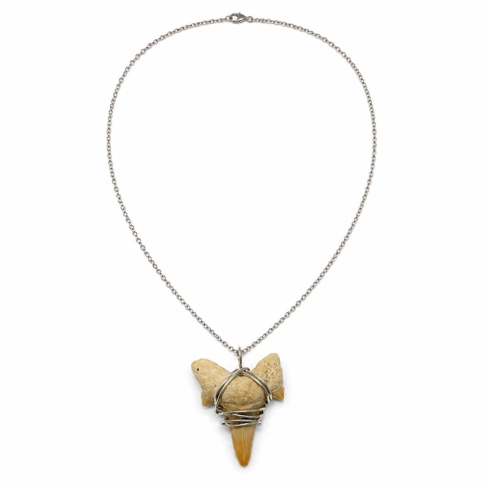 Fossil Sand Tiger Shark Tooth Wire-Wrapped Pendant Necklace